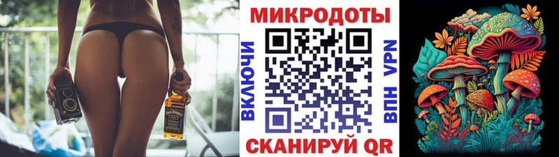 Галлюциногенные грибы Psilocybine cubensis  Татарск 